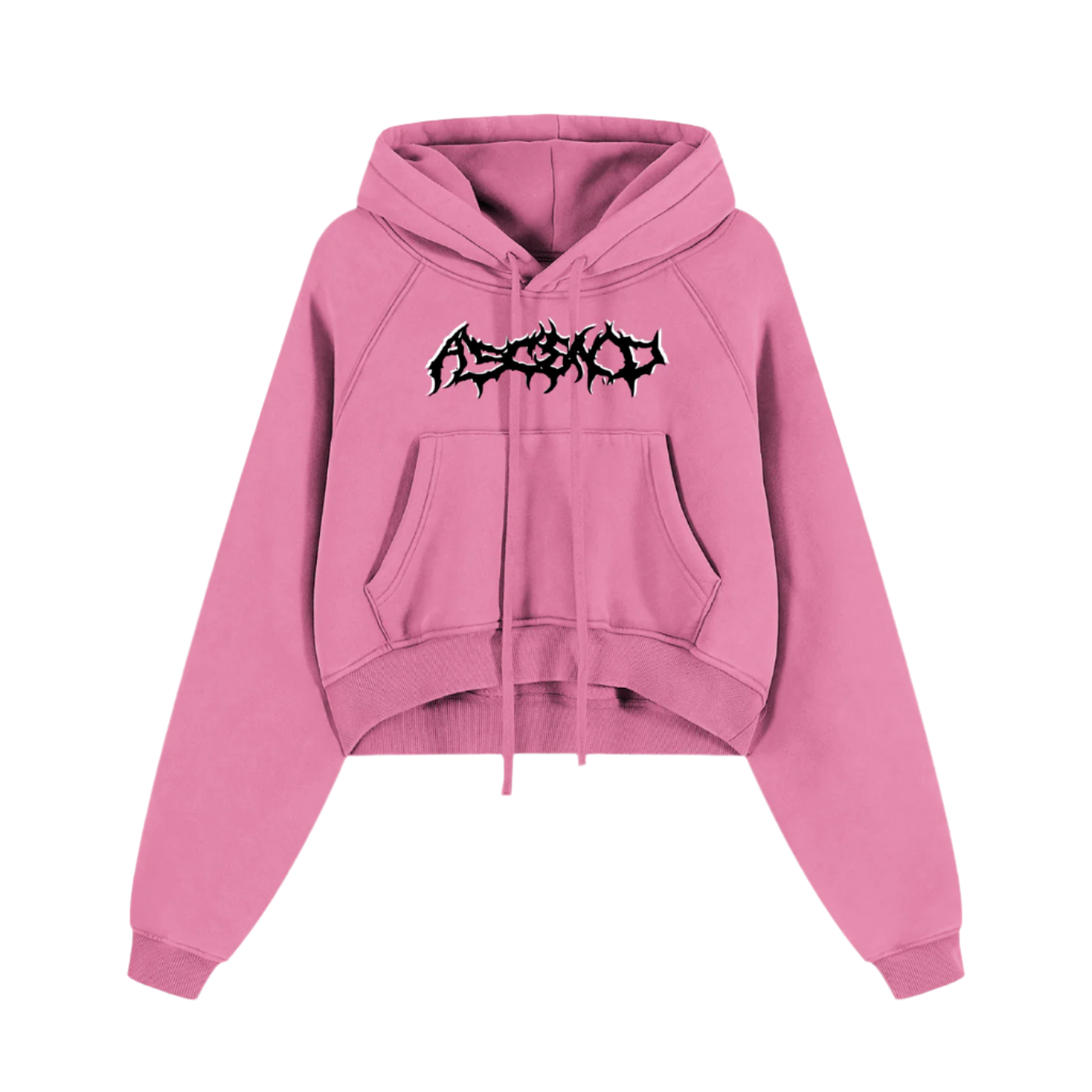 Deuteronomy 31:8 | Snow Washed Cropped Hoodie